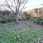 Le Cocoon Jasmin T2 Rdc Cosy Avec Jardin Clos *